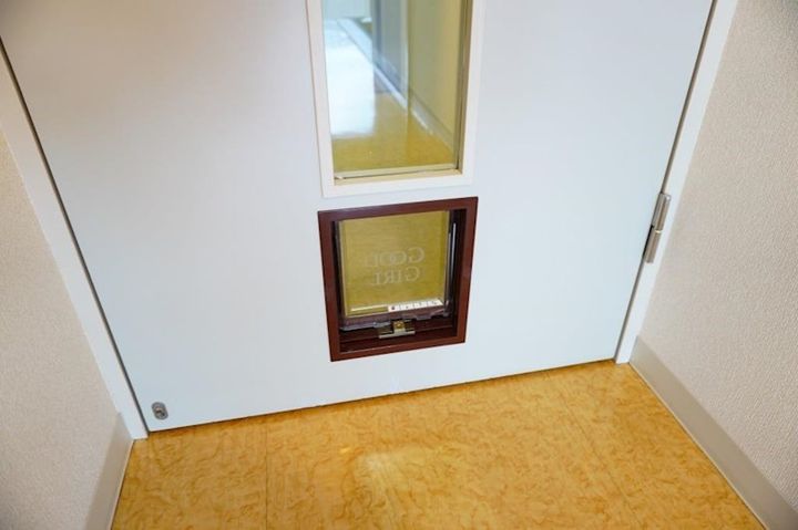 ベルフォーレ弐番館の内装