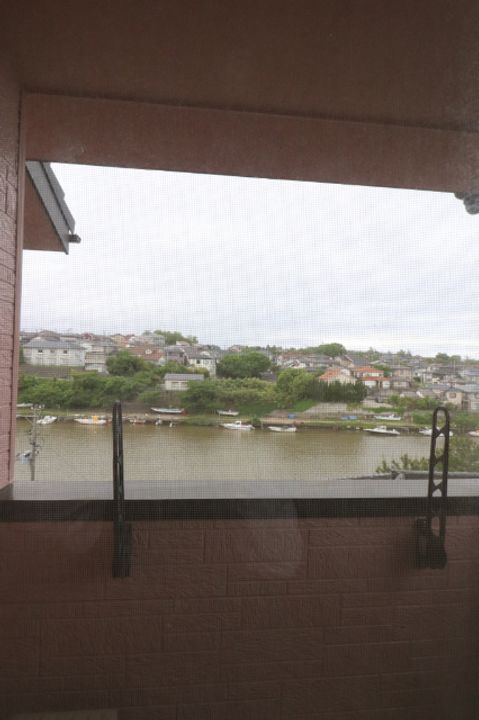 ウイングのその他画像