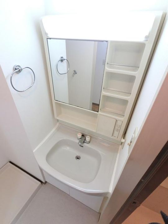 神奈川県川崎市幸区南加瀬1(マンション)の賃貸物件の内装