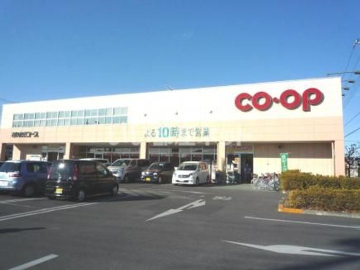 ジーメゾン岩槻南平野の周辺