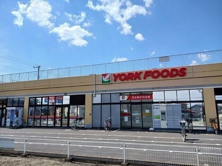 埼玉県さいたま市岩槻区大字本宿(一戸建)の賃貸物件の周辺