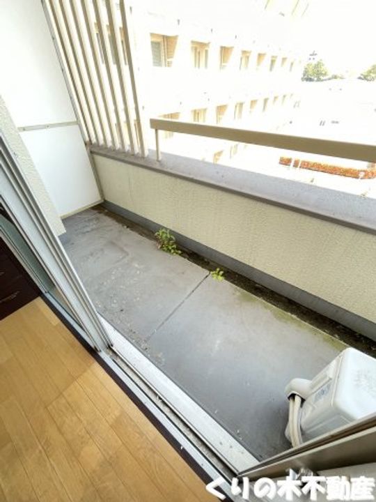 Lumius Matsumotoの内装