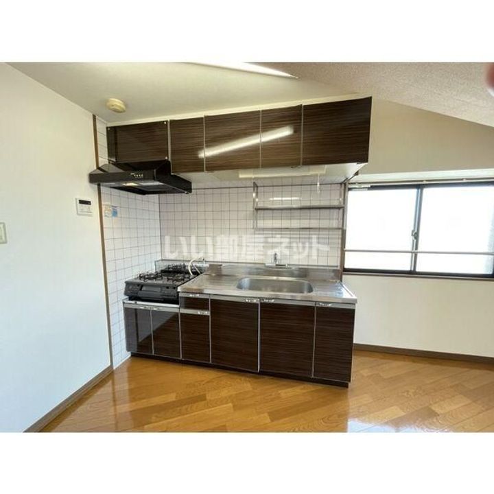 ヴィアーレマルフク南館のキッチン