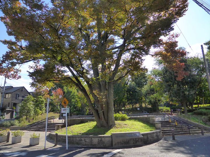 東京都世田谷区松原4(マンション)の賃貸物件の周辺