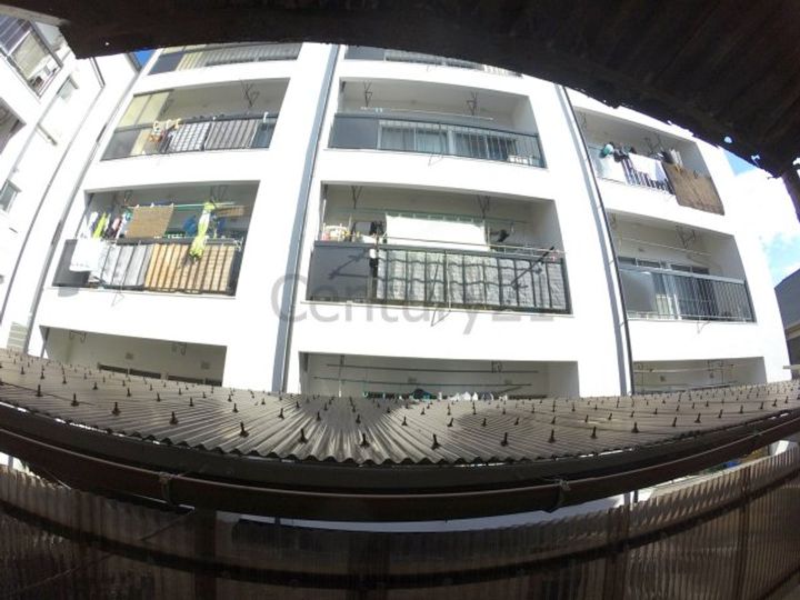 澤田文化のその他画像