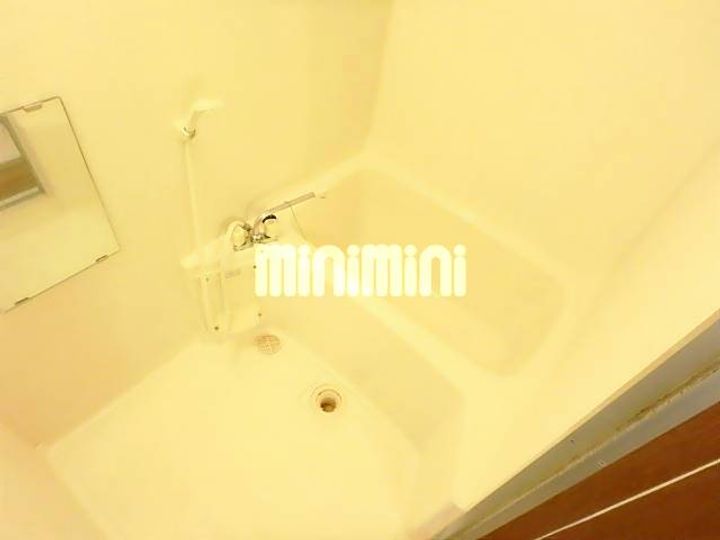 ハイデンスカトーの風呂