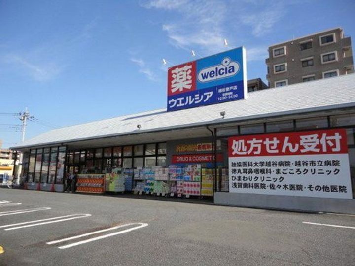 埼玉県越谷市登戸町(アパート)の賃貸物件の周辺