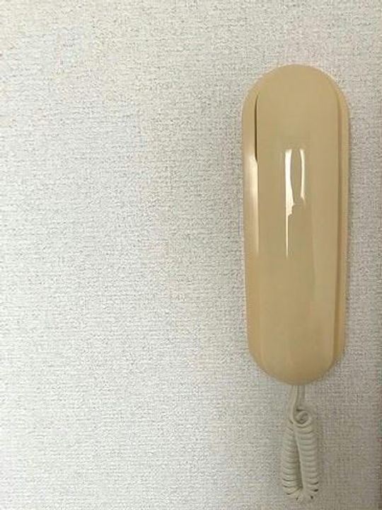 レオパレスコルヌイエの内装