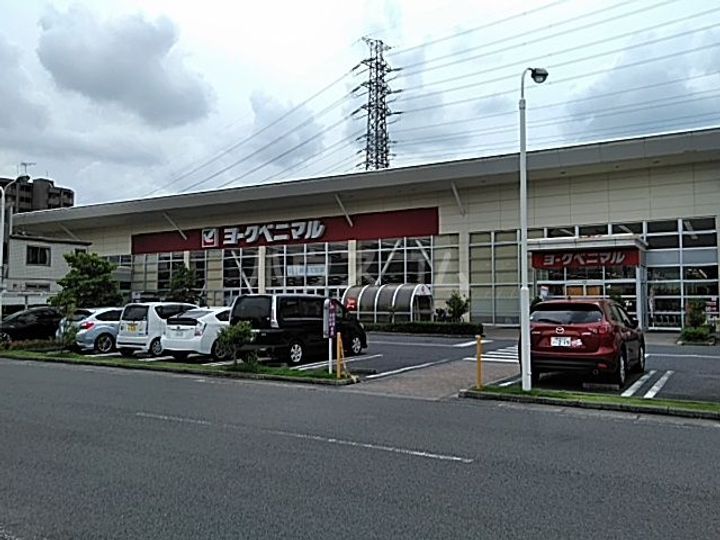 ビュー雷神の周辺