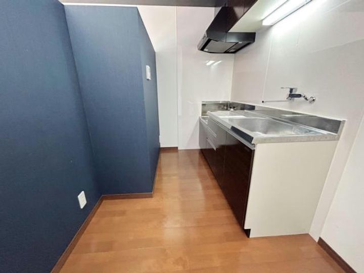 宮崎県都城市金田町(マンション)の賃貸物件のキッチン