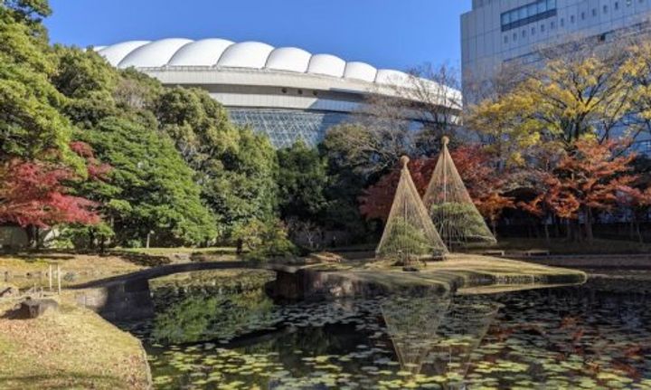 東京都新宿区西五軒町(マンション)の賃貸物件の周辺