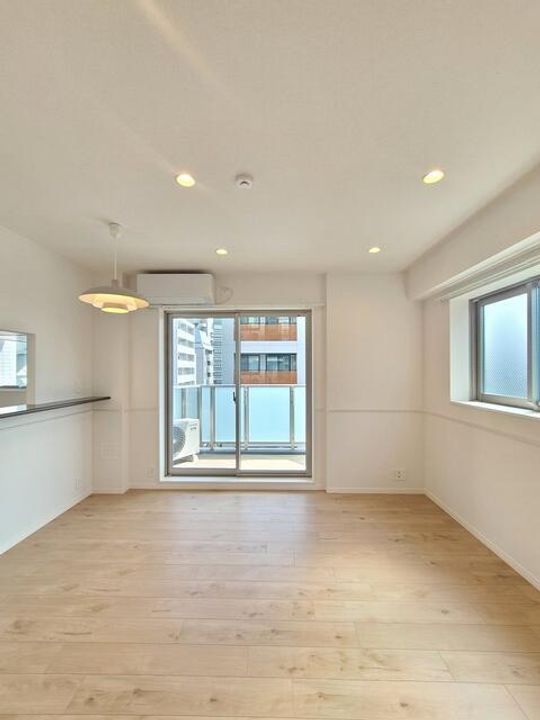 東京都港区東麻布1(マンション)の賃貸物件の居間