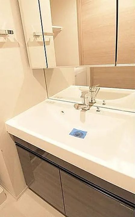 東京都港区赤坂9(マンション)の賃貸物件の内装