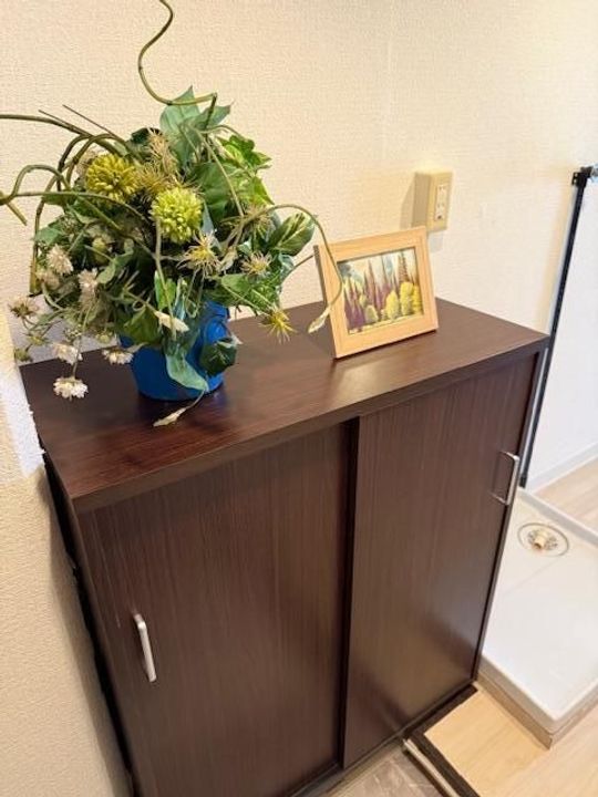 カーサ第一宇喜田の内装