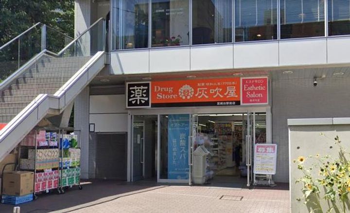 エスティ宮崎台の周辺