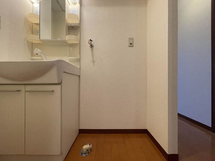 シャーメゾン藤木 Bのその他画像