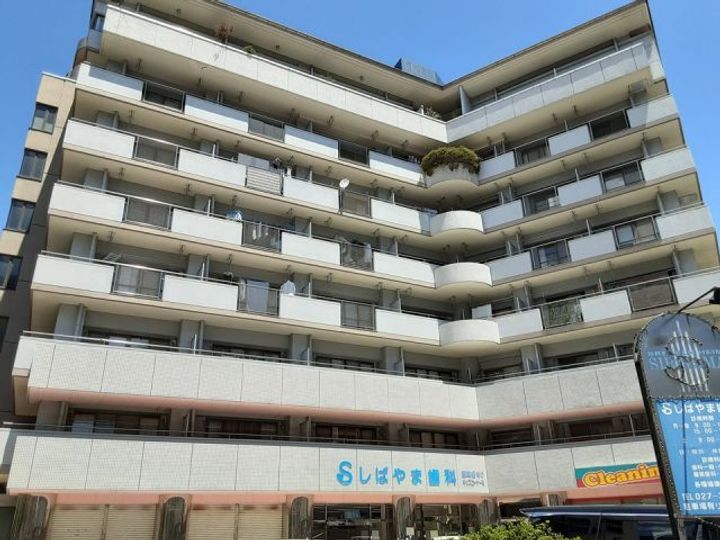 ブレーンハイム柴山の外観