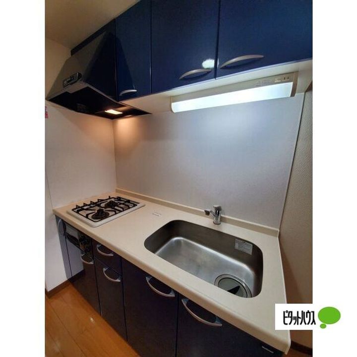 愛知県常滑市末広町2(マンション)の賃貸物件のキッチン