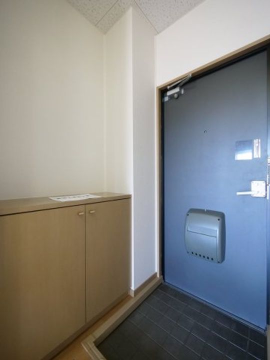 パナハイツ芳泉C棟の玄関