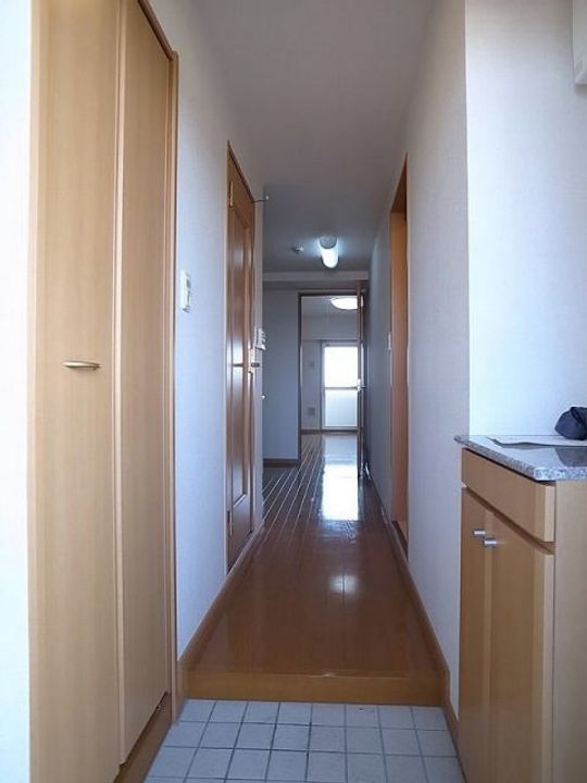 千葉県柏市若柴(マンション)の賃貸物件の玄関