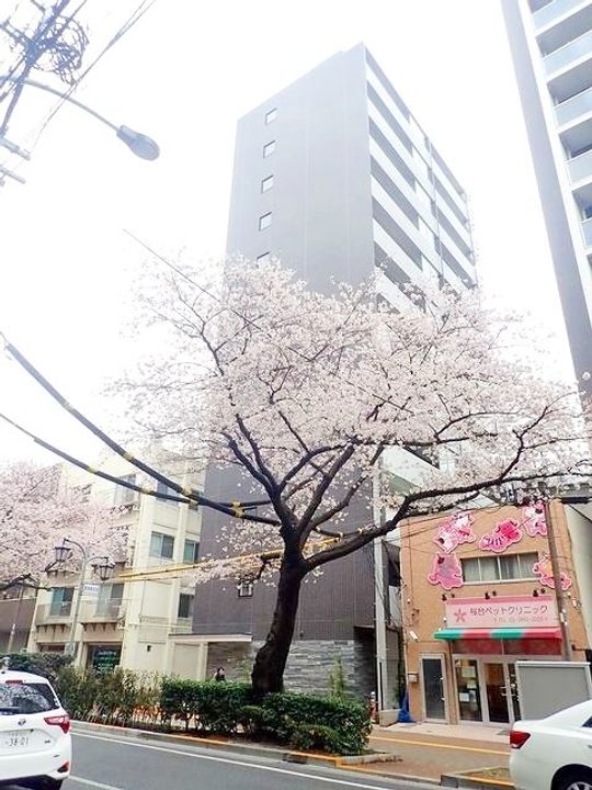 東京都練馬区桜台4(マンション)の賃貸物件の外観