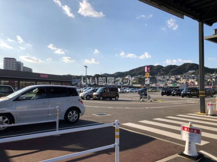 サンフラワーの周辺