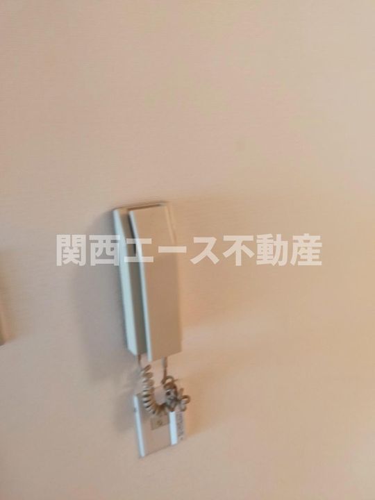 大阪府東大阪市南荘町(一戸建)の賃貸物件の内装