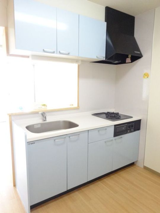 Spring House Maruzukaのキッチン