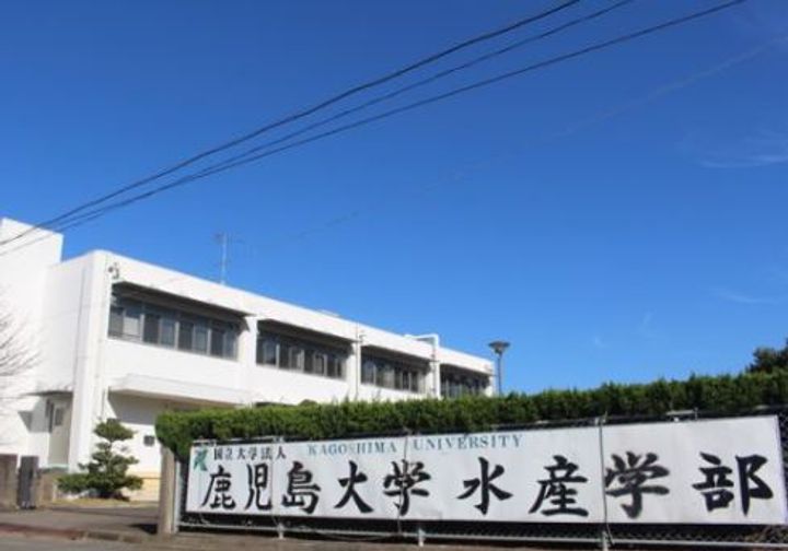 オレンジビルの周辺