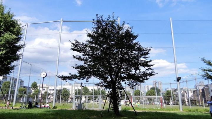 東京都中野区本町5(マンション)の賃貸物件の周辺