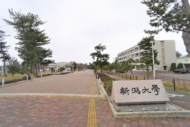 STEPS大学南の周辺