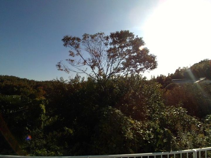 ビバライフ自由ヶ丘のその他画像