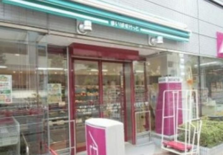 フォセット新大橋の周辺