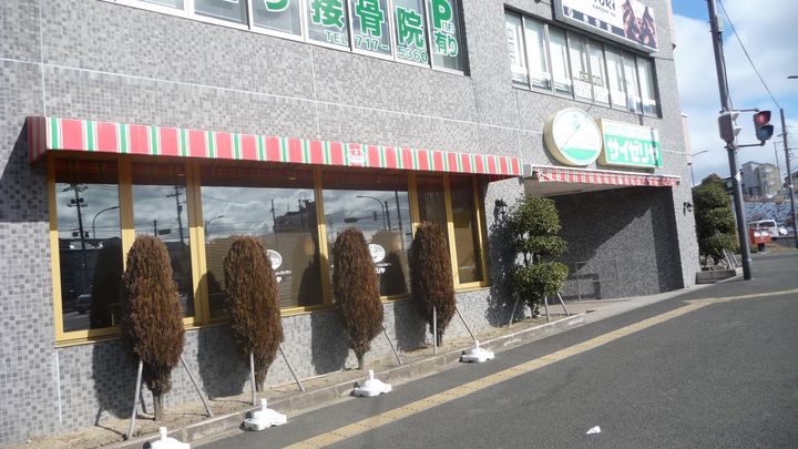 エミール堤の周辺