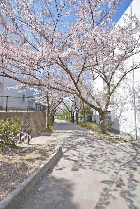 URもりつねの地図