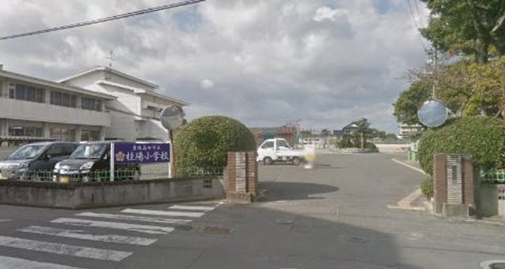 グリーンハイツ三明の周辺