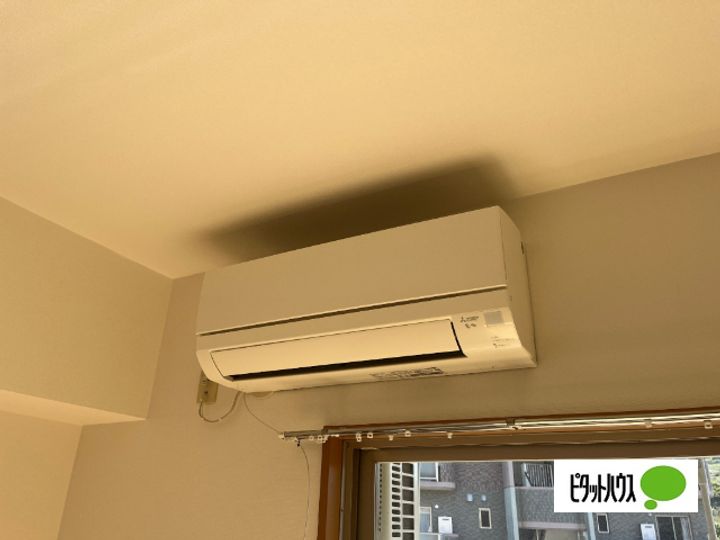 エヴァーグリーンの内装