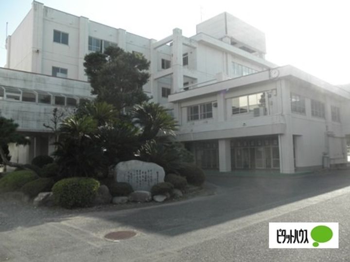 エヴァーグリーンの周辺