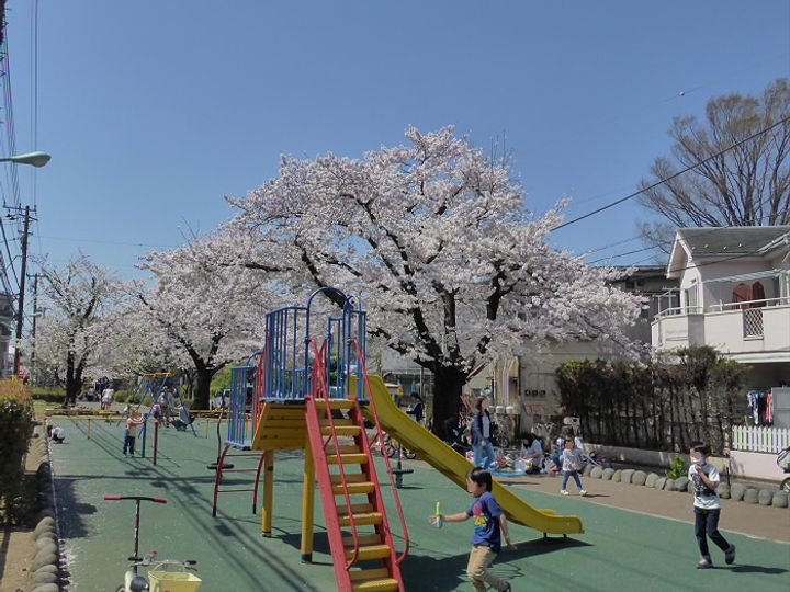 東京都渋谷区笹塚1(マンション)の賃貸物件の周辺
