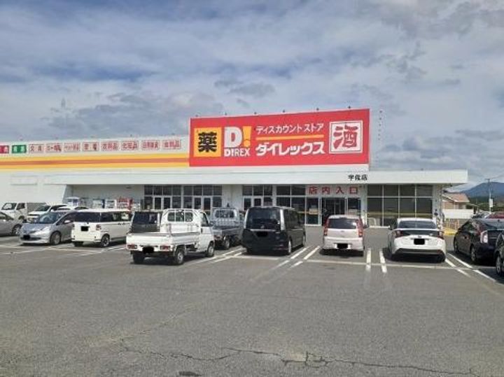 大分県宇佐市大字辛島(一戸建)の賃貸物件の周辺