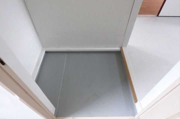 岡山県岡山市東区東平島(マンション)の賃貸物件の玄関