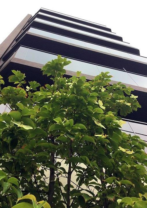 東京都墨田区菊川2(マンション)の賃貸物件のその他画像