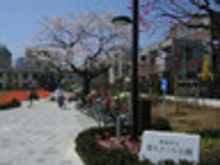 東京都新宿区新宿6(マンション)の賃貸物件の周辺