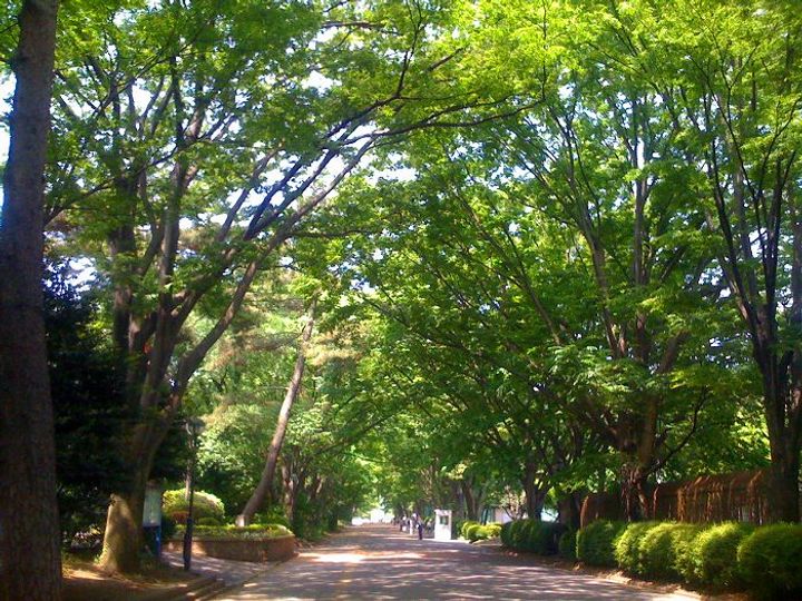 東京都小金井市貫井南町3(一戸建)の賃貸物件の周辺