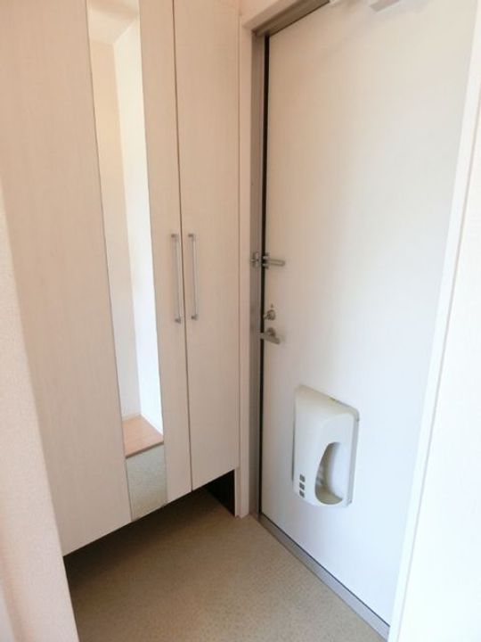 広島県広島市安佐南区伴東5(アパート)の賃貸物件の玄関