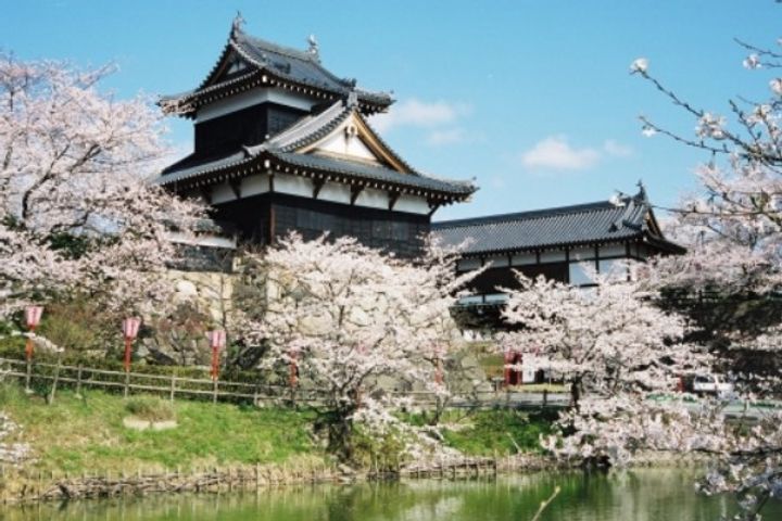 奈良県奈良市西九条町(一戸建)の賃貸物件の周辺