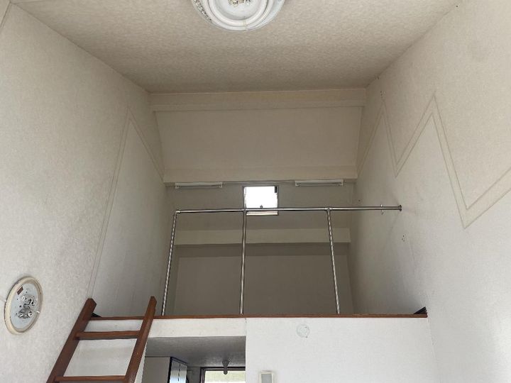 ルピナス1のその他画像