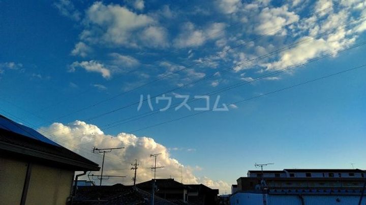 ルピナスIのその他画像