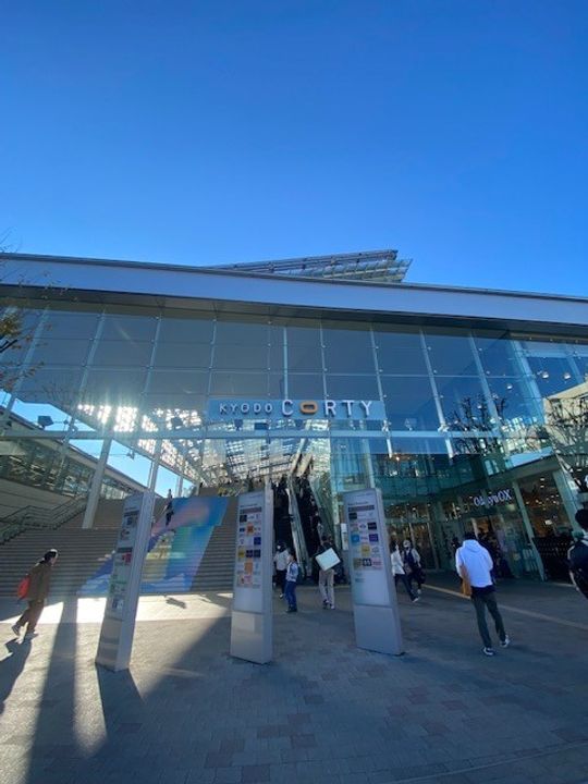 テンダーハウスの周辺