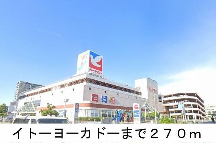 柊(ひいらぎ)の周辺